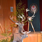 100_ JHV Vorarlberger J__gerschaft 2019 _3_.jpg