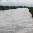 Die aktuelle Lage am Rhein