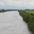 IMG_5933.JPG