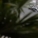 Monaco_F1_GP_Auto_Racing_09041.jpg