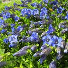 IMG_1610.JPG