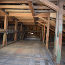 DSC_0040.JPG