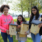 Artenvielfalt Projekt INSEKTENHOTEL B Personen 17-05-2019 _4_.JPG