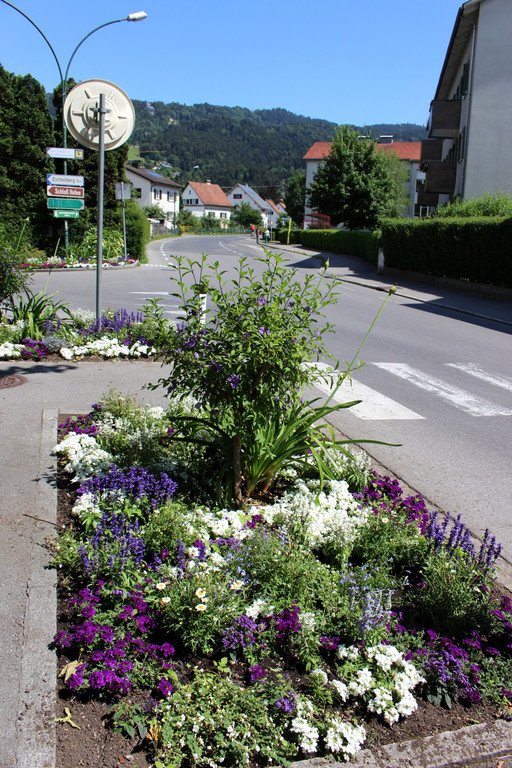 Artenvielfalt Projekt INSEKTENHOTEL D Blumenwiesen Mai 2019 _5_.JPG