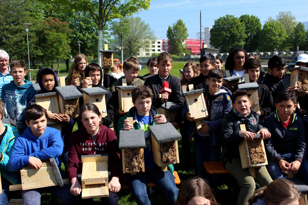 Artenvielfalt Projekt INSEKTENHOTEL A Gruppe 17-05-2019 _9_.JPG