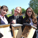 Artenvielfalt Projekt INSEKTENHOTEL B Personen 17-05-2019 _9_.JPG