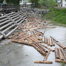 IMG_9831.jpg