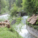 IMG_9735.jpg