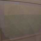 IMG_7563.JPG