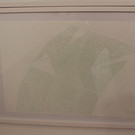 IMG_7564.JPG