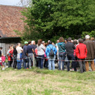 Bienen _3_.JPG