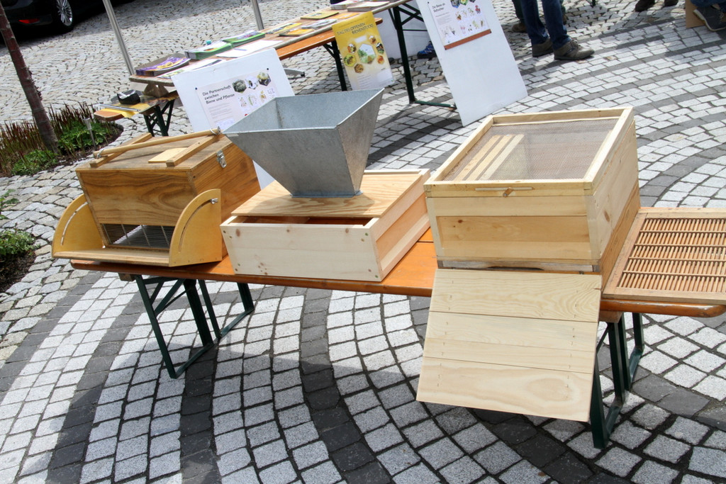 Bienen _9_.JPG