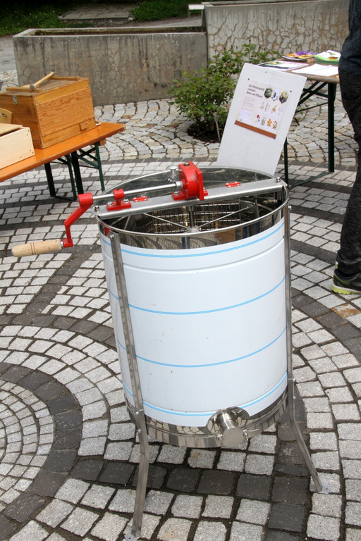 Bienen _11_.JPG