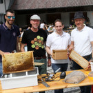 Bienen _17_.JPG