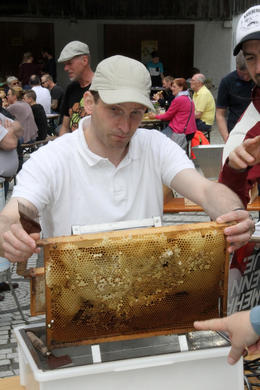 Bienen _31_.JPG