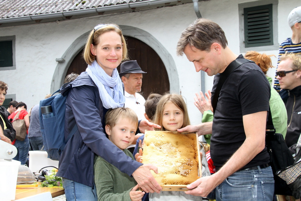 Bienen _41_.JPG