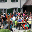 Bienen _42_.JPG