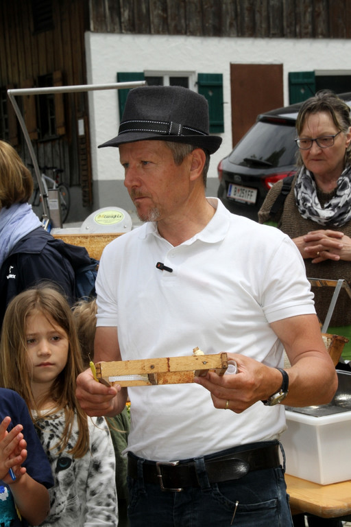 Bienen _44_.JPG