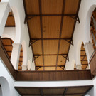 Bienen _55_.JPG