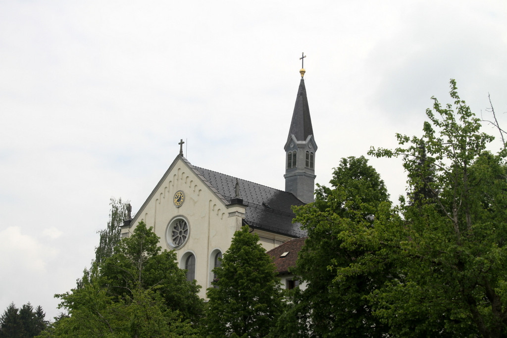 Bienen _59_.JPG