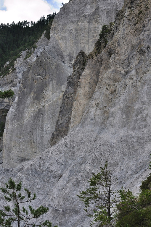 RHEINSCHLUCHT 1.jpg