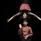 Exquisite Circuskunst