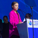 R20 Austrian World Summit and Climate Kirtag - Wiener Hofburg - 28_05_2019-23.jpg