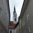 P1004440.jpg