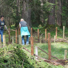 IMG_5886.JPG
