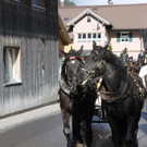 IMG_5980.JPG