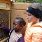 Imker3 Bienenstock.jpg