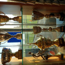 DSC02213.JPG