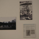 P5230400.jpg