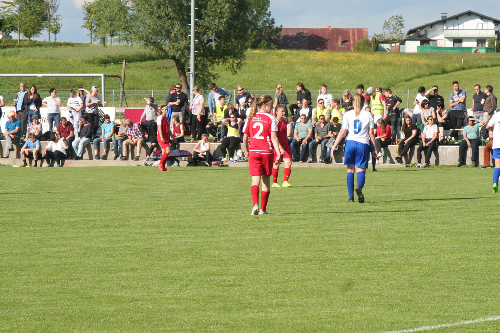 IMG_1557.JPG