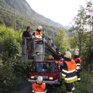 Paragleiter in Hohenems im Baum gelandet