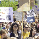 Demo Fridays for Future - No Future On a Dead Planet  _48 von 181_.jpg