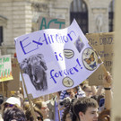 Demo Fridays for Future - No Future On a Dead Planet  _69 von 181_.jpg