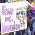 Demo Fridays for Future - No Future On a Dead Planet  _91 von 181_.jpg