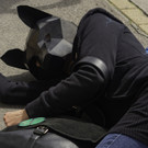 Demo Fridays for Future - No Future On a Dead Planet  _146 von 181_.jpg