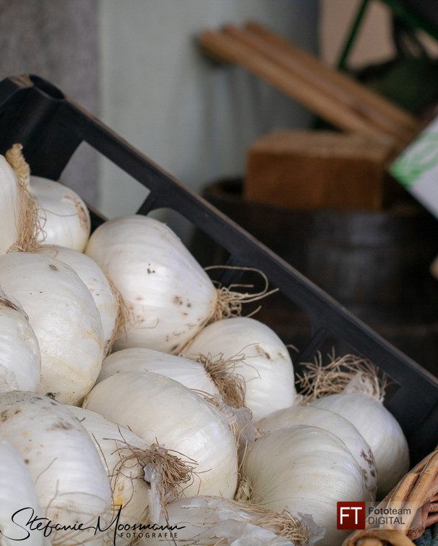 0031_Clubausflug Italien_IMG_3347_Fototeam Digital 2019.jpg