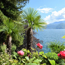 0153_Clubausflug Italien_DSC_0510_Fototeam Digital 2019.jpg