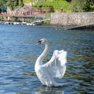 0314_Clubausflug Italien_IMG_3569_Fototeam Digital 2019.jpg