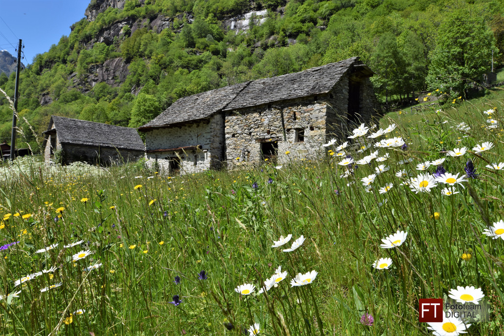 0656_Clubausflug Italien_DSC_0018_Fototeam Digital 2019.jpg