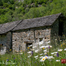 0669_Clubausflug Italien_IMG_3918_Fototeam Digital 2019.jpg