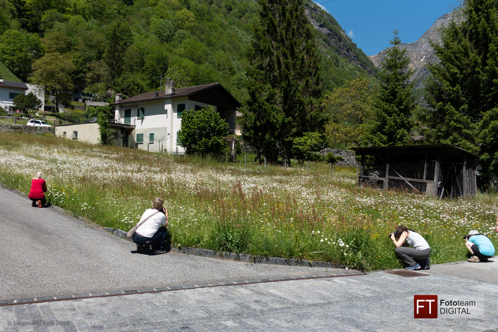 0757_Clubausflug Italien_ITALIENISCHE IMPRESSIONEN PUR-Siegmund Kalb-20190531-DSC02080_Fototeam Digital 2019.jpg