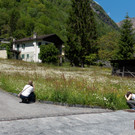 0757_Clubausflug Italien_ITALIENISCHE IMPRESSIONEN PUR-Siegmund Kalb-20190531-DSC02080_Fototeam Digital 2019.jpg