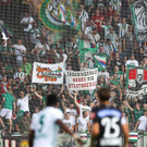 ABD0117-20190602.jpg