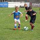 50 Teams aus 3 Nationen