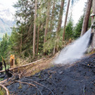 Dam__ls Waldbrand - Bernd Hofmeister III.jpg