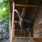 IMG_1896.JPG